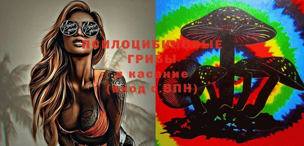 apvp Богородицк