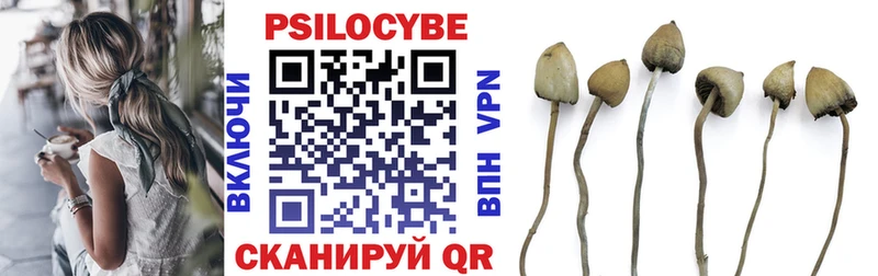 Псилоцибиновые грибы Magic Shrooms  купить   Кудымкар 